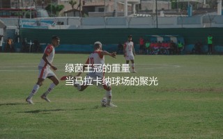 美洲杯冠军最多的球员是谁?绿茵王冠的重量