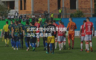厄德高是哪个国家队的？北欧冰雪中的精灵觉醒