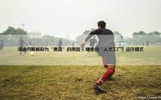乌迪内斯被称为“黑店”的深层原因探析