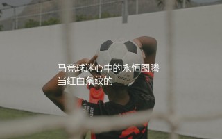 马德里竞技历史最佳射手是谁？马竞球迷心中的永恒图腾