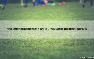 安迪·穆勒在瑞超联赛打进了多少球「足坛哨声」
