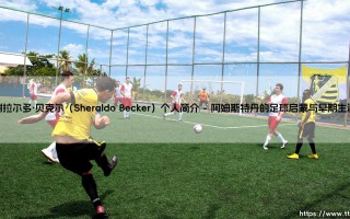 谢拉尔多·贝克尔（Sheraldo Becker）个人简介「90+」