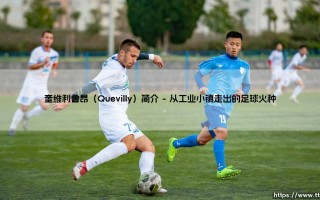 奎维利鲁昂：一个默默无闻的足球故事？「奎维利鲁昂」究竟藏着怎样的魅力与传奇？