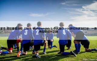 塔里克·穆哈雷莫维奇：连接巴尔干与世界的数字先锋