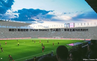佩塔尔·斯塔尼奇个人简介：探索佩塔尔·斯塔尼奇的传奇生涯