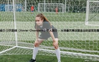 维尔·沙瓦勒林：法甲赛场的中场悍将，他是谁？——探索沙瓦勒林的足球之路