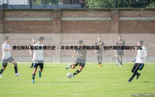 费伦斯队葡超参赛历史——一支小球队的葡超征途