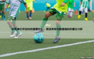 球员身价评估的依据是什么？——揭秘身价评估的核心逻辑与依据