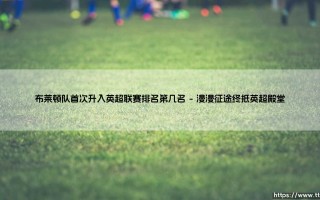 布莱顿队首次升入英超联赛排名第几名？探寻海鸥军团历史性首秀的最终名次