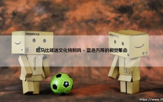 哈马比球迷文化特别吗|磁儿足球说