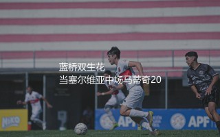 内马尼亚·马蒂奇效力过哪些英超球队？蓝桥双生花：曾经的斯坦福桥铁闸