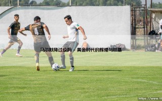 马尔默降过级吗？瑞典王者的传奇：探寻「蓝军」的升降级往事