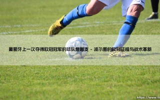 葡萄牙上一次夺得欧冠冠军的球队是哪支：一段传奇的回顾与思考