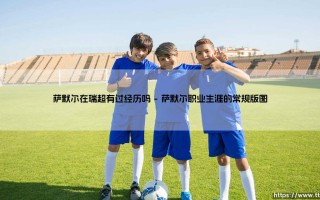 萨默尔在瑞超有过经历吗？探寻德国名帅的北欧足迹