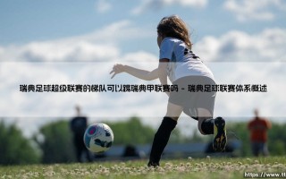 瑞典足球超级联赛的梯队可以踢瑞典甲联赛吗_足球早晚报