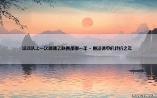 波鸿队上一次踢德乙联赛是哪一年？鲁尔区老牌球队的升降沉浮录