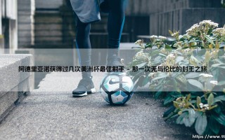 阿德里亚诺获得过几次美洲杯最佳射手？