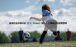 维泽拉足球俱乐部：一支怎样的球队？「绿茵场上的维泽拉奇迹」
