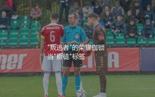 亚亚·图雷的职业生涯有哪些重要时刻？"叛逃者"的荣耀枷锁