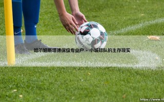 哈尔姆斯塔德：保级专业户？这支瑞典球队的生存智慧「生存的艺术」