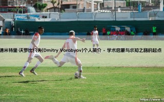 德米特里·沃罗比约夫（Dmitry Vorobyov）个人简介：一个跨界探索者的成长轨迹「Dmitry Vorobyov 个人历程」