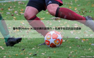 霍布罗足球俱乐部：一座小镇的足球史诗
