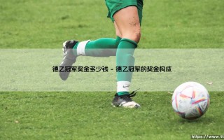 德乙冠军奖金多少钱：绿茵荣耀背后的资本博弈