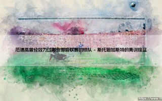 厄德高的挪威足迹：探寻天才中场在挪威联赛的成长轨迹