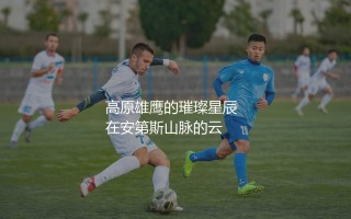 玻利维亚队历史知名球星都有谁？安第斯山脉高原雄鹰的璀璨星辰