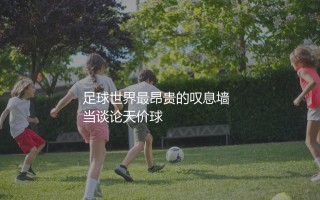 奥布拉克巅峰身价有多少欧