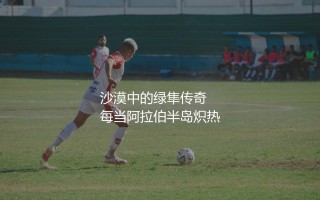 沙特国家足球队历史上最知名的球星有哪些？沙漠中的绿隼传奇
