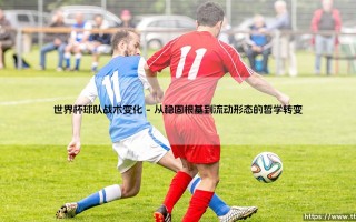 世界杯球队战术变化的深度剖析