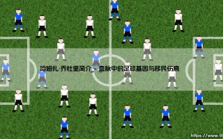 哈姆扎·乔杜里简介：从难民之子到英超新星的逆袭之路