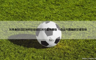 从未参加过欧洲杯的知名欧洲球星有哪些【足球之家】