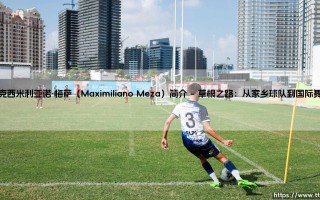 马克西米利亚诺·梅萨（Maximiliano Meza）简介：从阿根廷小镇走出的足球精灵