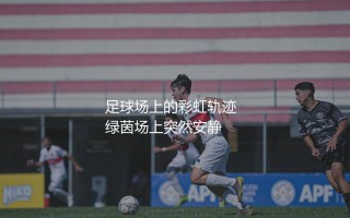 罗纳尔迪尼奥为什么被称为足球精灵？足球场上的彩虹轨迹