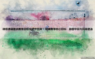 锡塔德福图纳赛季目标与进步空间：剖析球队的雄心与现实