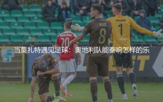 奥地利队FIFA世界排名最高多少位？当莫扎特遇见足球：奥地利队能奏响怎样的乐