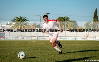 欧联杯历史上单场比赛出示黄牌最多的比赛是哪一场(绿茵速报)