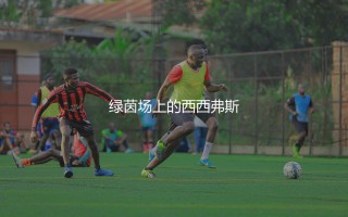 梅西参加了几次美洲杯？绿茵场上的西西弗斯