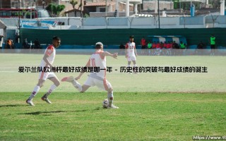 爱尔兰队欧洲杯最好成绩是哪一年？探寻绿军史诗背后的坚韧与荣光