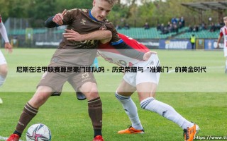 尼斯在法甲联赛算是豪门球队吗？历史沉淀与现实差距的辩证思考