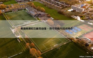费迪南德和范戴克谁强？深度解析：谁才是英超时代的顶级中卫？