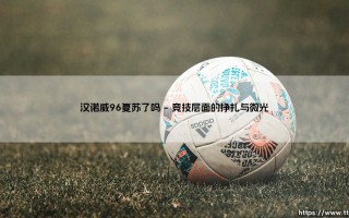 汉诺威96复苏了吗？探寻汉诺威96复兴之路的现状与挑战