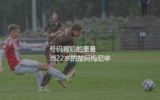 楚阿梅尼皇马球衣号码：号码背后的重量