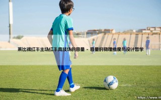 莱比锡红牛主场红牛竞技场的容量：数字之外的意义
