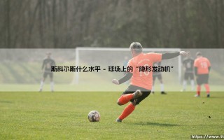 斯科尔斯什么水平？探寻曼联传奇中场的非凡境界