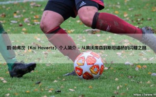 凯·哈弗茨（Kai Havertz）个人简介：德国天才的成长与蜕变