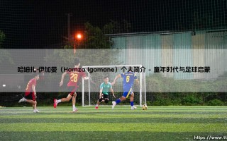 哈姆扎·伊加曼个人简介：从摩洛哥山岭到欧洲绿茵的传奇之旅
