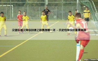 汉堡队降级德乙之年：一段令球迷心碎的往事